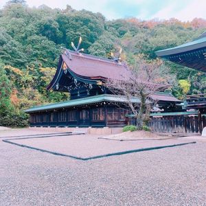 吉備津彦神社 6枚目