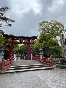 気比神社のツガ