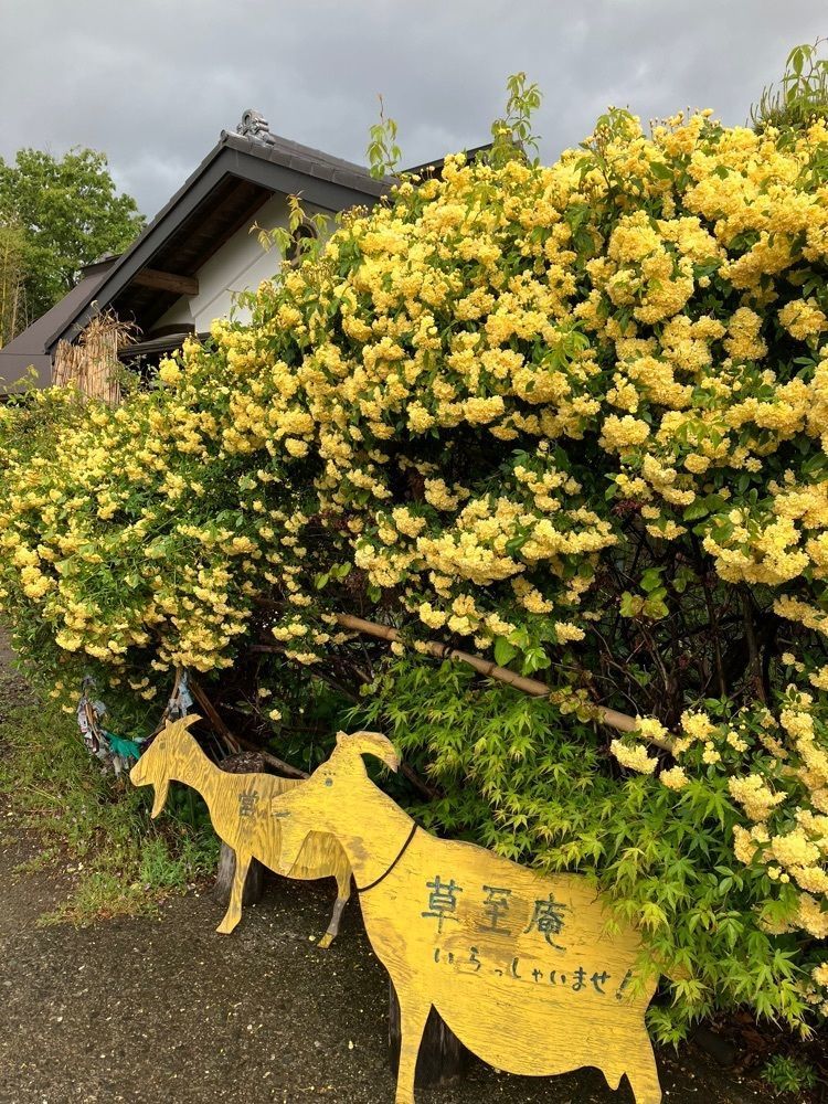 Nさんが投稿した草至庵に関する口コミの画像
