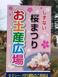 二十間道路桜並木