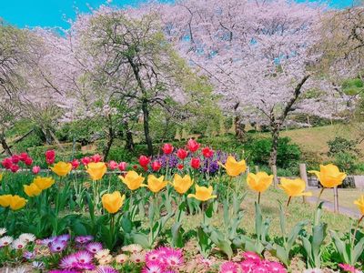 半田山植物園 6枚目