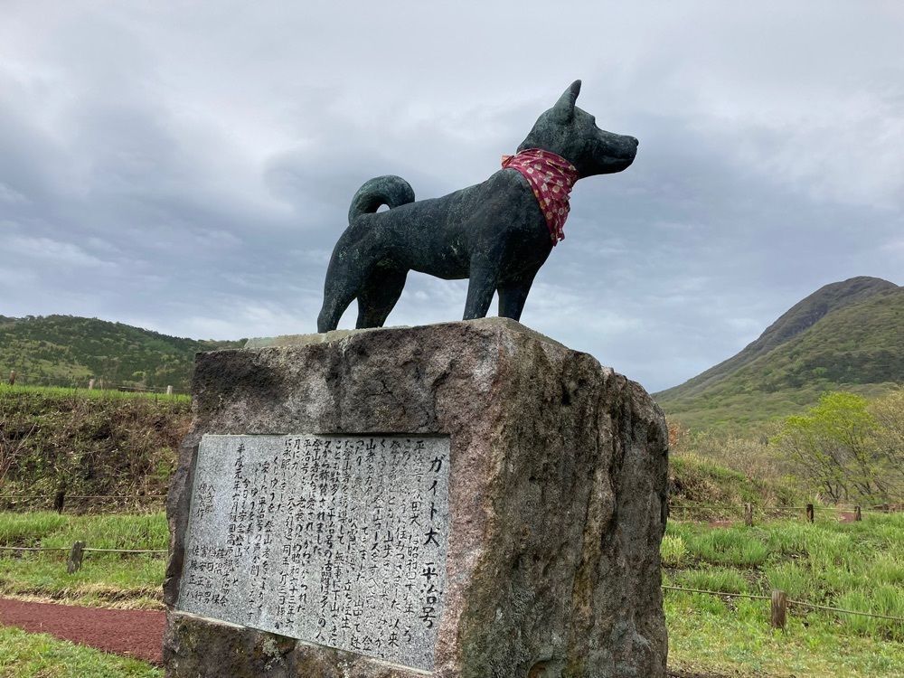 Howl Monさんが投稿した飯田高原に関する口コミの画像