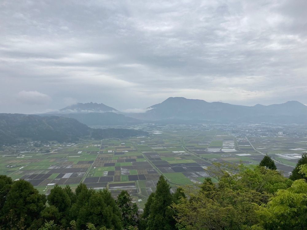Howl Monさんが投稿したヒゴタイフルーツに関する口コミの画像
