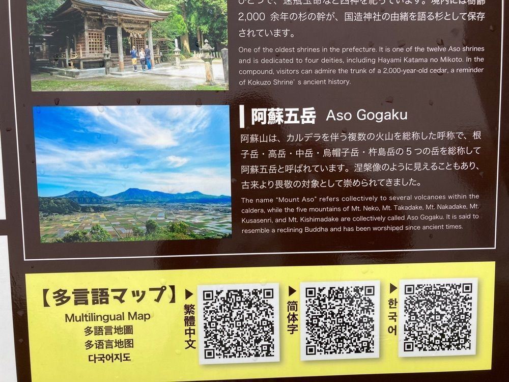 Howl Monさんが投稿したヒゴタイフルーツに関する口コミの画像