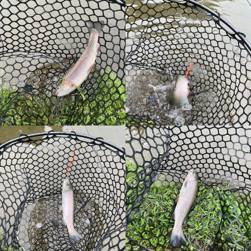 Yoshikazu Ozawaさんが投稿したフィッシングクラブジョイバレーに関する口コミの画像