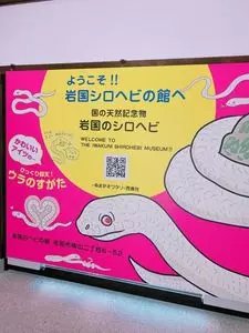 岩国シロヘビの館 3枚目