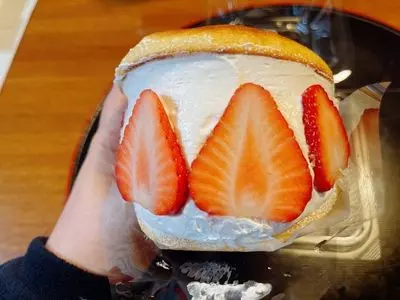 道の駅いちかわ