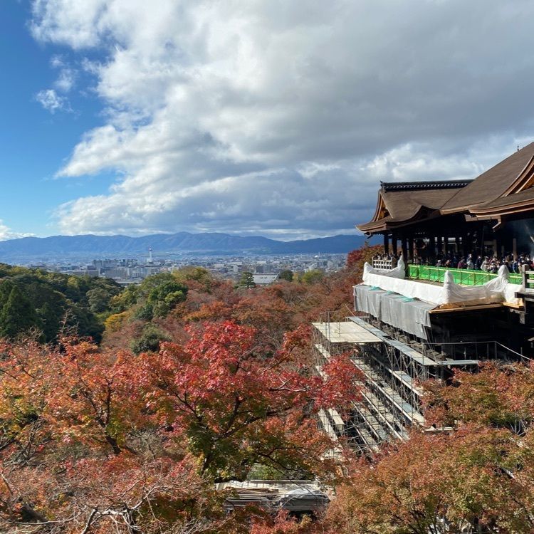 かよこさんが投稿した清水寺に関する口コミの画像
