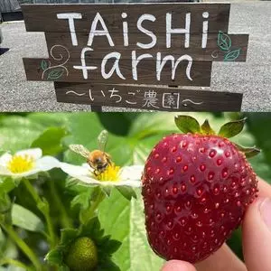 Taishi farm（タイシ ファーム）