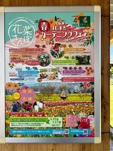 キッチンHana