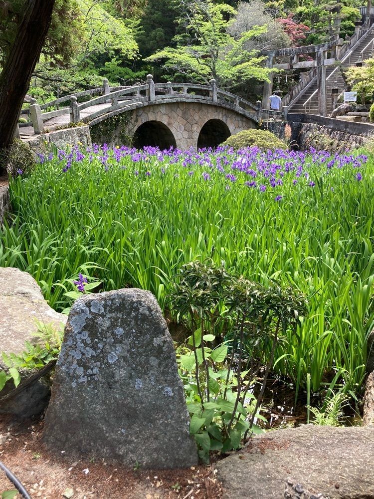 うーとらマンさんが投稿した菅原神社に関する口コミの画像