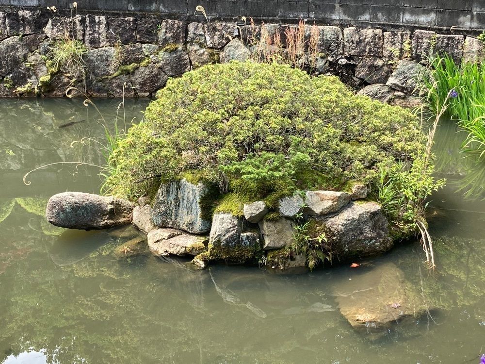 うーとらマンさんが投稿した菅原神社に関する口コミの画像