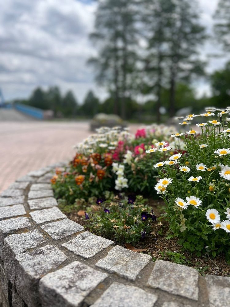 🤎アイヒンまま🤎さんが投稿した水元公園レンタサイクルに関する口コミの画像