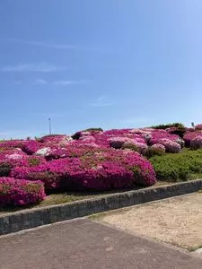 明石海浜公園