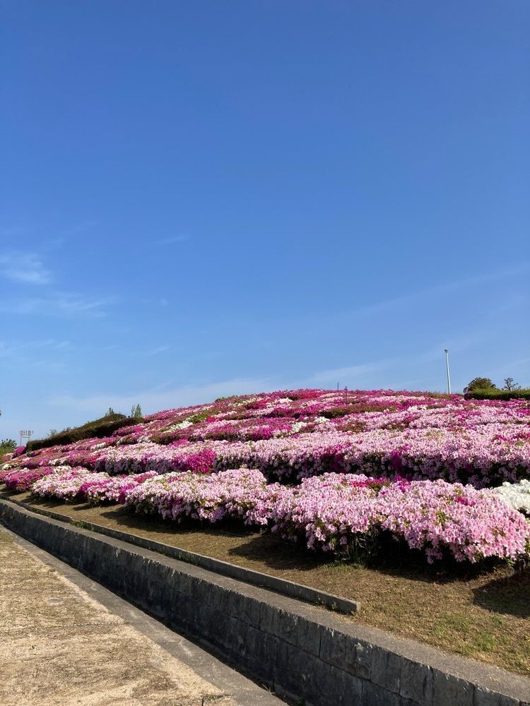momo 555さんが投稿した明石海浜公園に関する口コミの画像