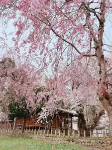 戸沢神社
