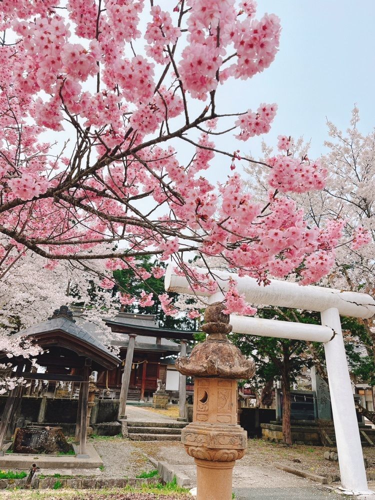 猫なぎ。さんが投稿した戸沢神社に関する口コミの画像