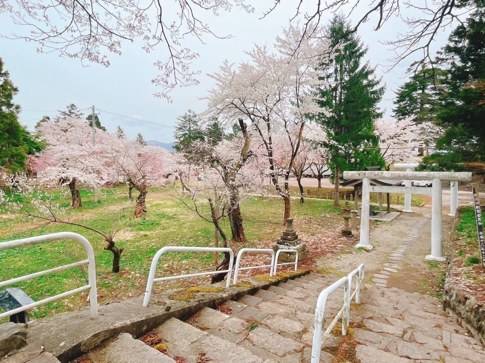 猫なぎ。さんが投稿した戸沢神社に関する口コミの画像