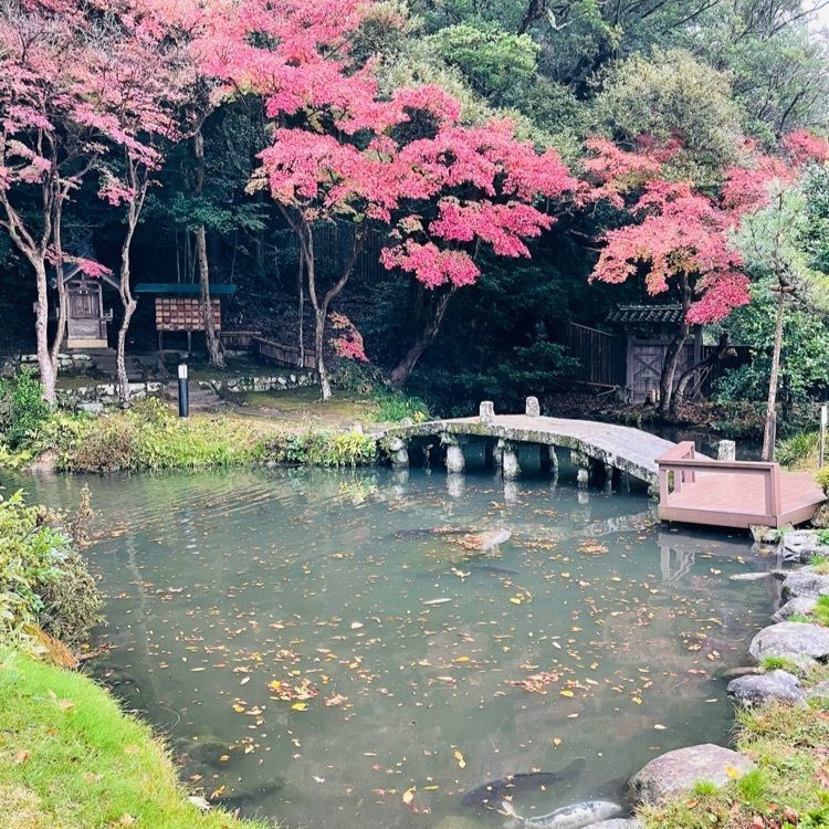 みーなさんが投稿した北島國造館に関する口コミの画像