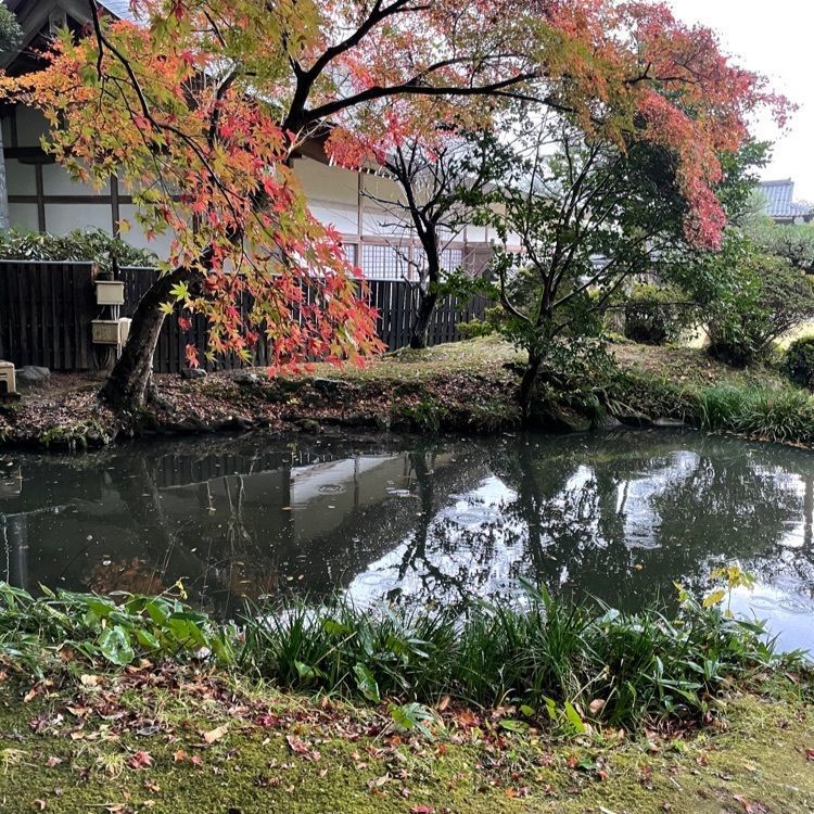 みーなさんが投稿した北島國造館に関する口コミの画像