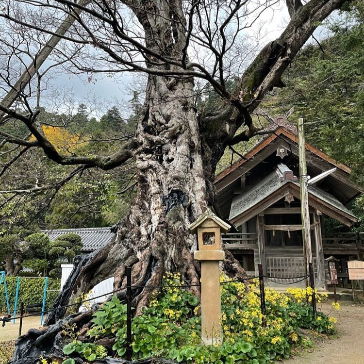 みーなさんが投稿した北島國造館に関する口コミの画像