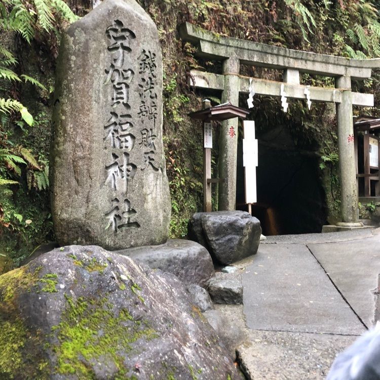 yu-chanさんが投稿した銭洗弁財天宇賀福神社に関する口コミの画像