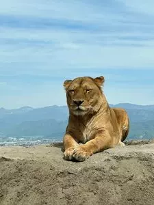 茶臼山動物園 2枚目