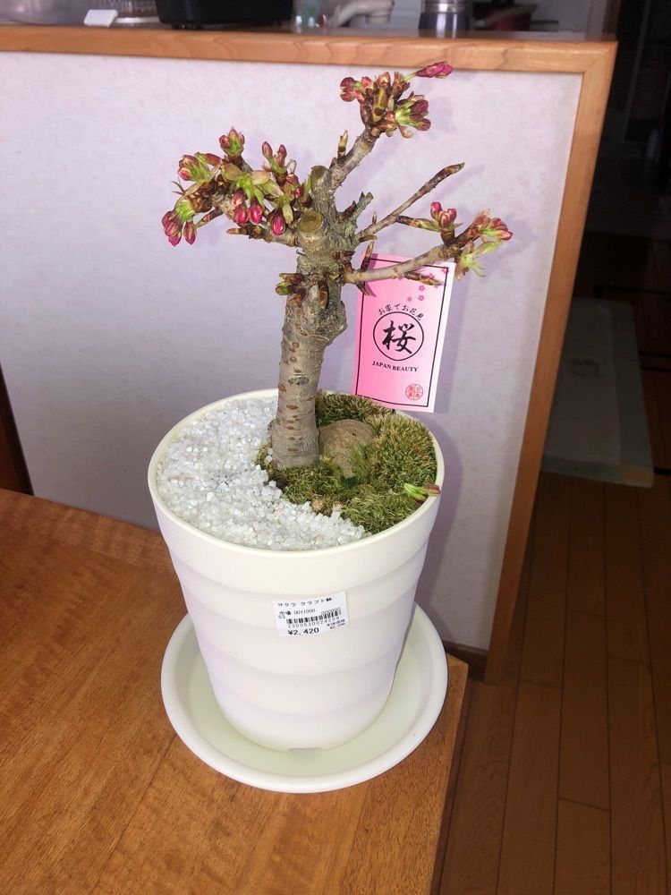 happy_walkingさんが投稿したえこりん村 ウェルカムセンターに関する口コミの画像