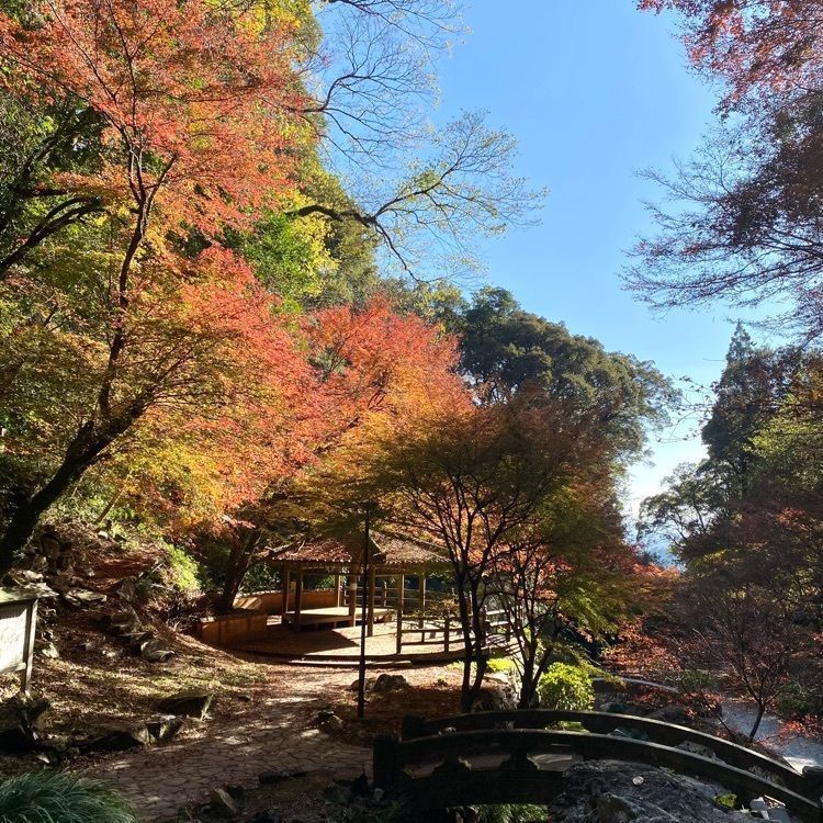 Rhapsodyさんが投稿した清水山見瀧寺宝地院（清水観音）に関する口コミの画像