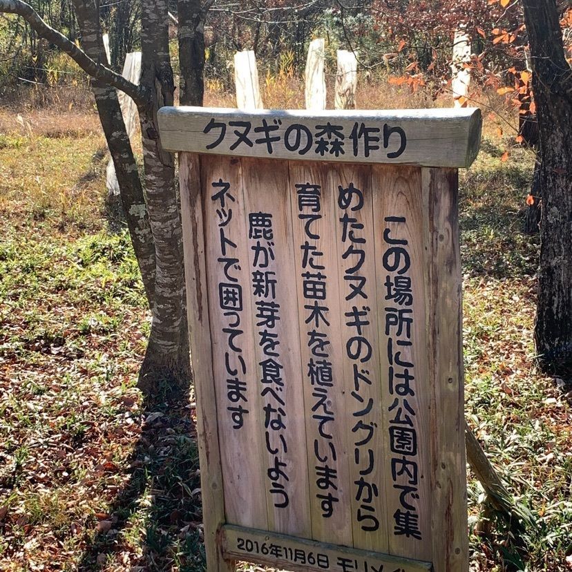 formal_showtime_2f4fさんが投稿した三重県上野森林公園に関する口コミの画像