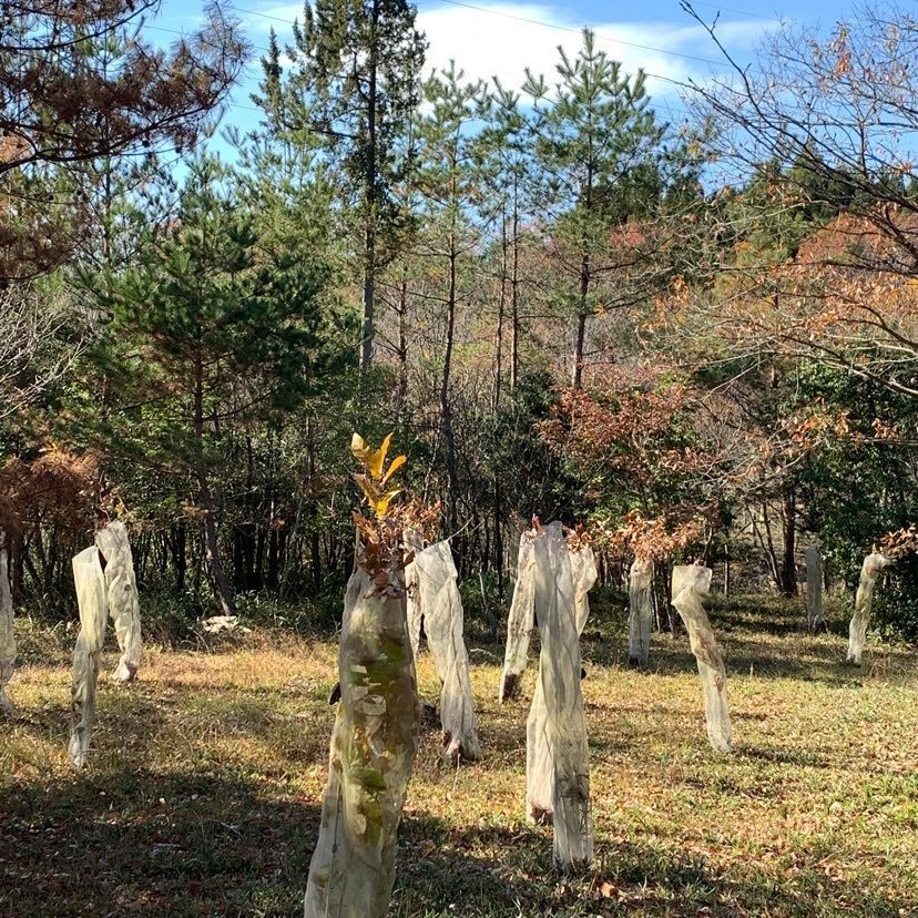 formal_showtime_2f4fさんが投稿した三重県上野森林公園に関する口コミの画像