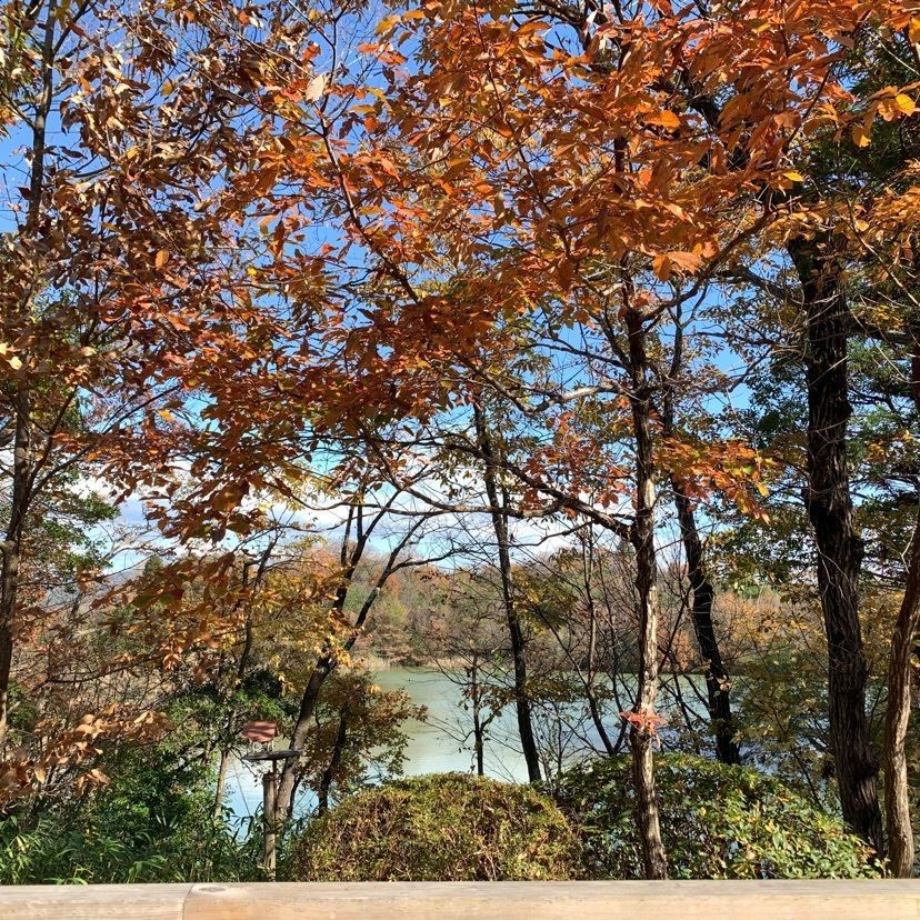formal_showtime_2f4fさんが投稿した三重県上野森林公園に関する口コミの画像