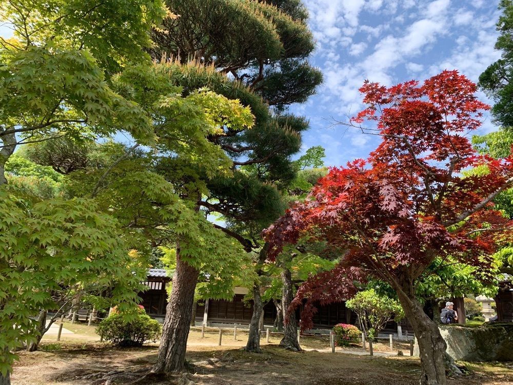 cool－showtimeさんが投稿した毛利氏庭園に関する口コミの画像