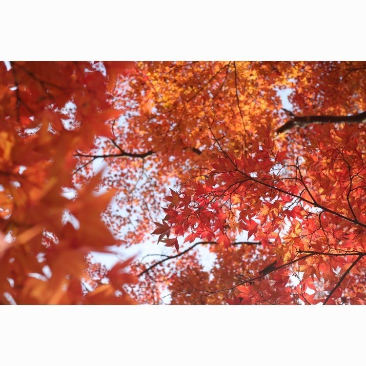 あっけさんが投稿した烏帽子山公園に関する口コミの画像