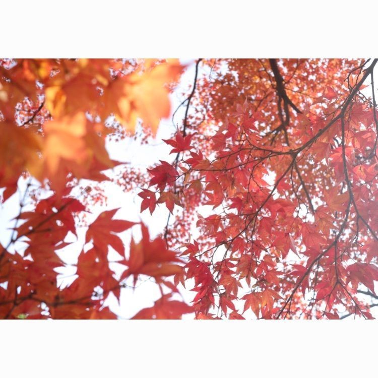 あっけさんが投稿した烏帽子山公園に関する口コミの画像