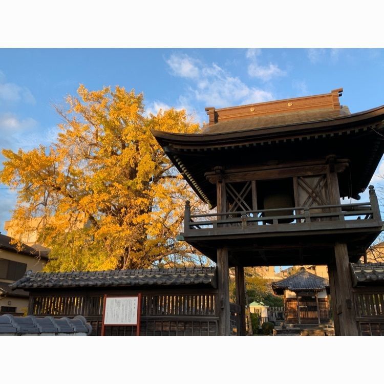 Howl Monさんが投稿した十三に関する口コミの画像