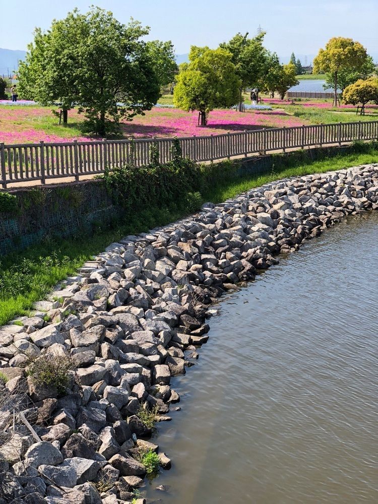 nicanさんが投稿した三ツ又池公園に関する口コミの画像