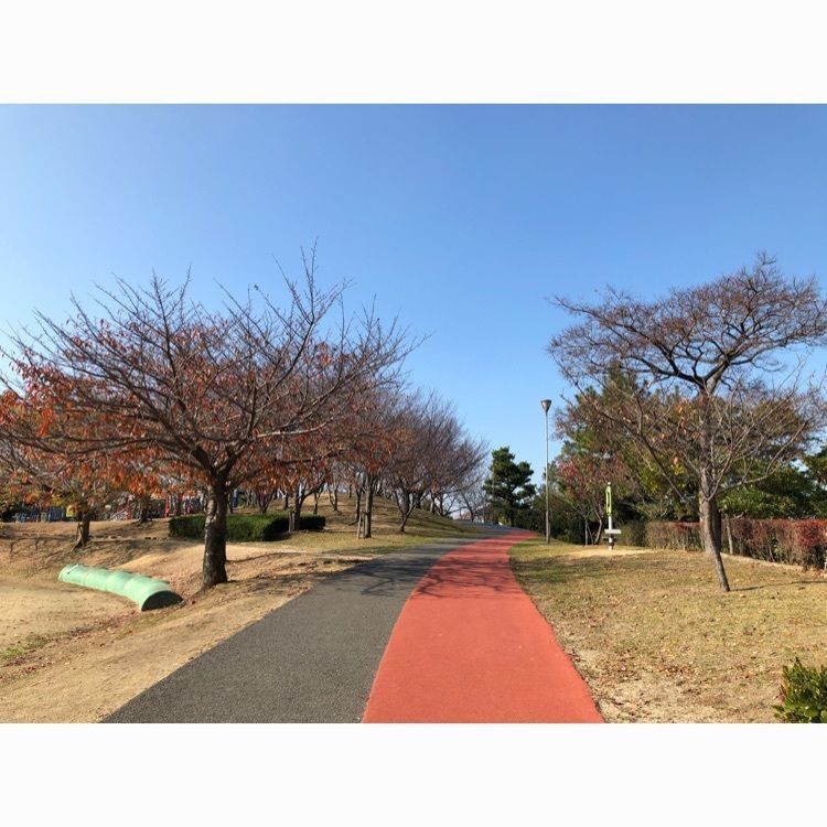 花❁⃘華  さんが投稿した松前公園に関する口コミの画像