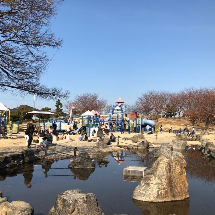 花❁⃘華  さんが投稿した松前公園に関する口コミの画像