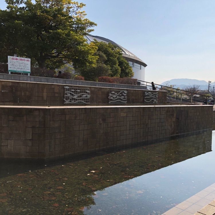 花❁⃘華  さんが投稿した松前公園に関する口コミの画像