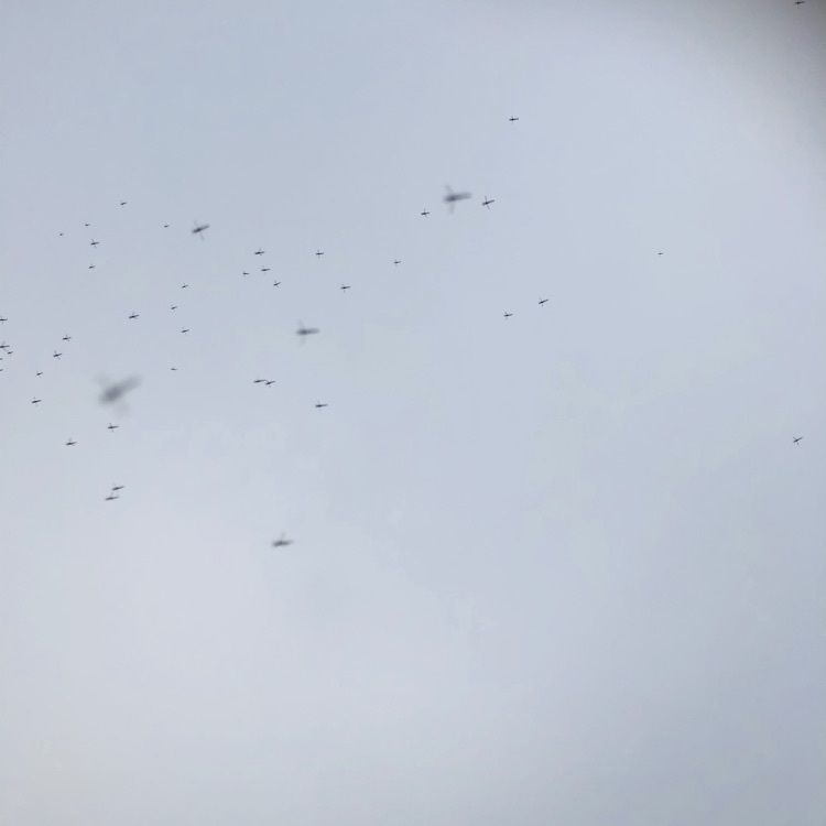れいんぼうれいんぼうさんが投稿したひといきに関する口コミの画像