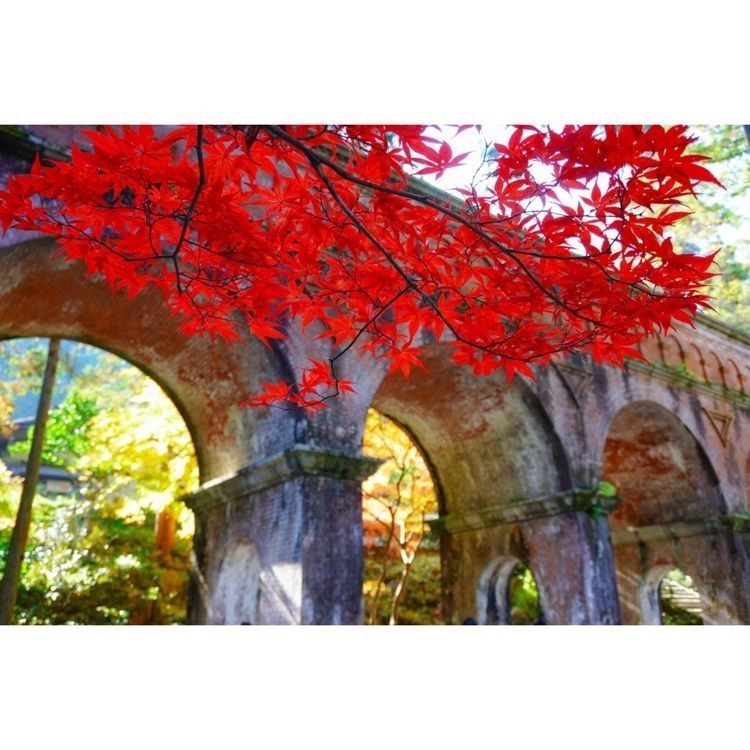 urban_garden_243aさんが投稿した南禅寺（静岡県河津町）に関する口コミの画像