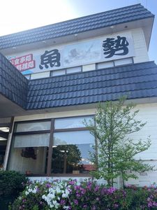 魚勢 上越店 3枚目