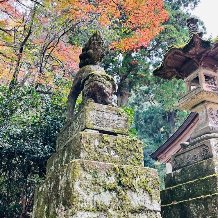 みーなさんが投稿した鰐淵寺に関する口コミの画像