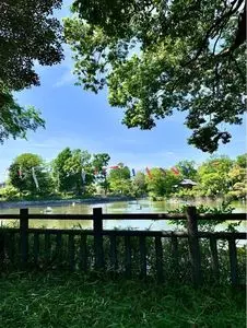 碑文谷公園