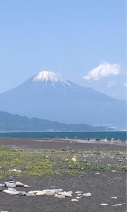 三保松原 2枚目