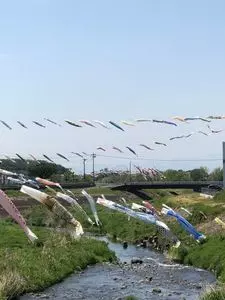 エイト
