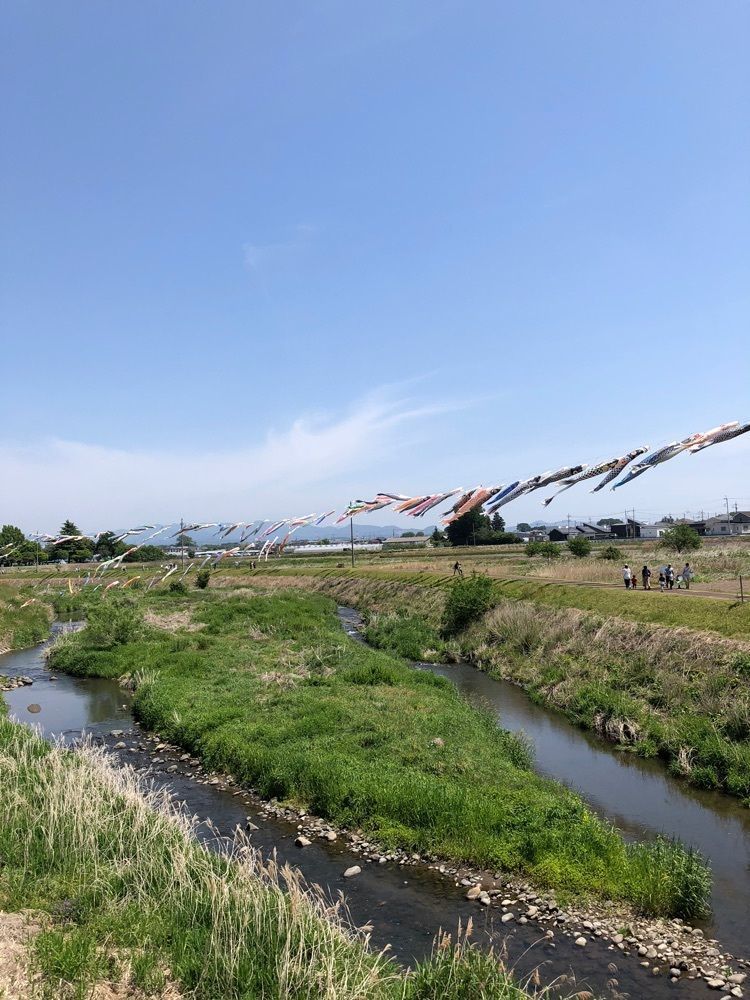 からっ風②さんが投稿したエイトに関する口コミの画像