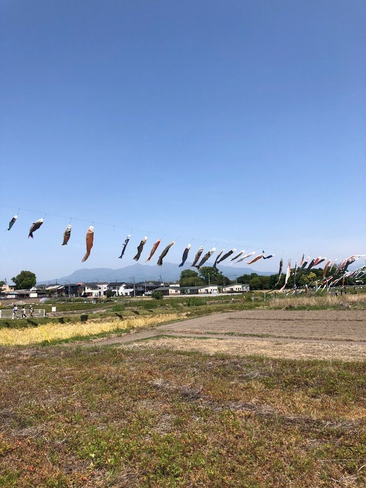 からっ風②さんが投稿したエイトに関する口コミの画像