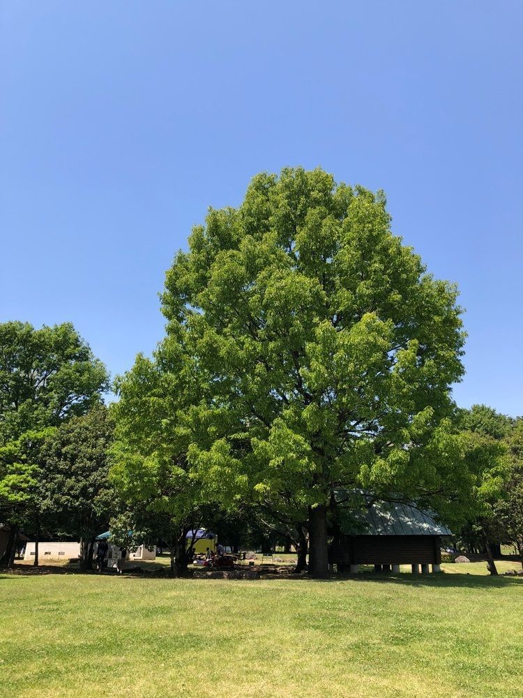 からっ風②さんが投稿したエイトに関する口コミの画像